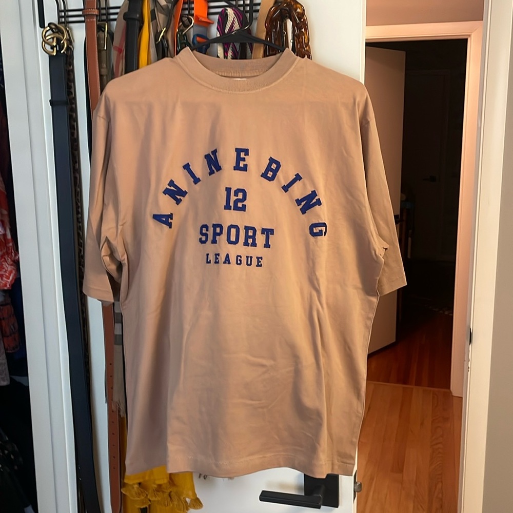 NWOT Anine Bing brown oversized t shirt - size small